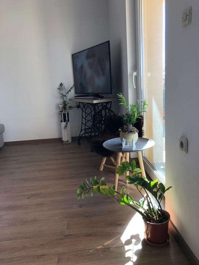 Apartment Viveniti 克罗诺维察 外观 照片